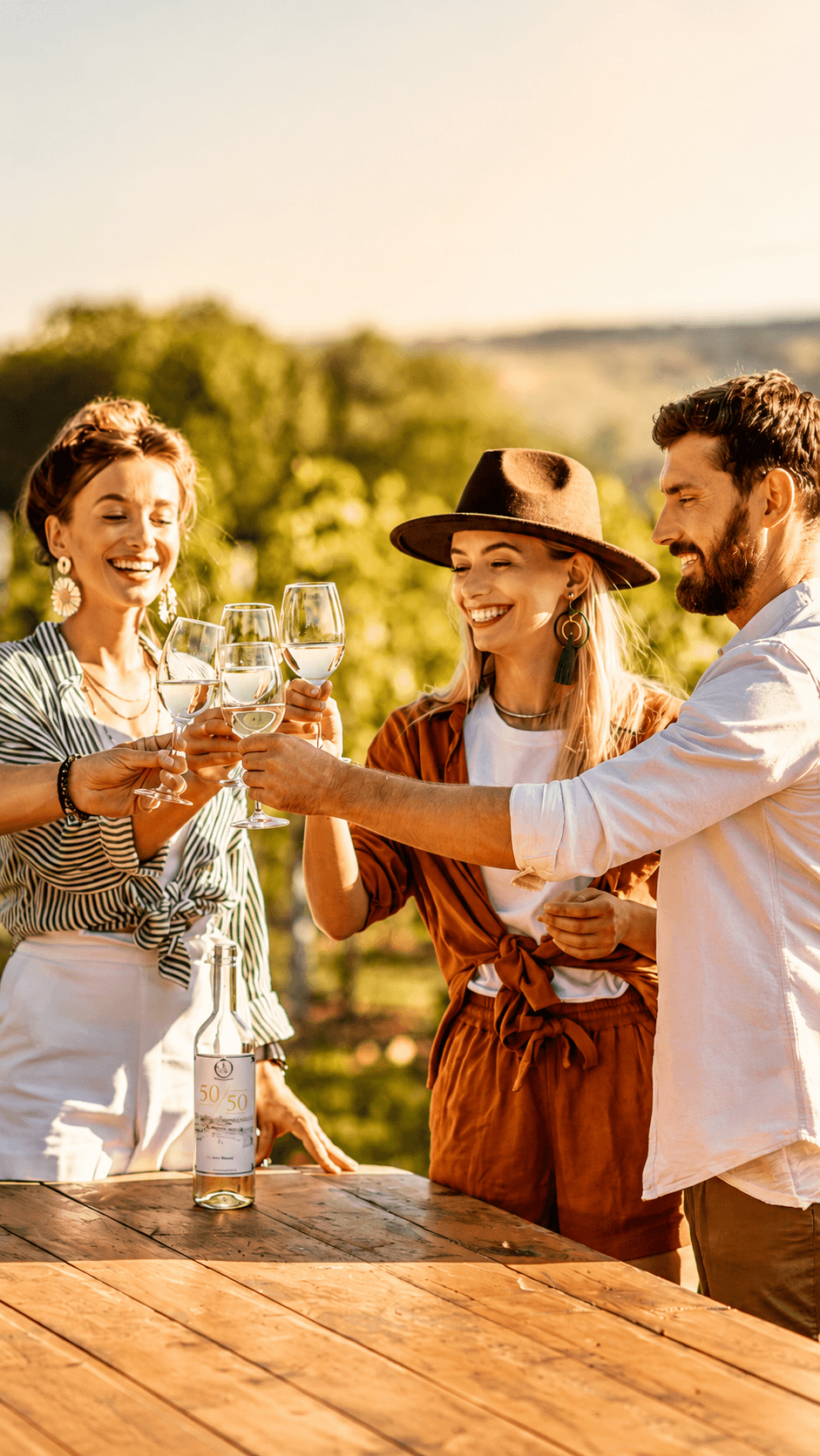 Vinícolas e vinhedos em Mendoza